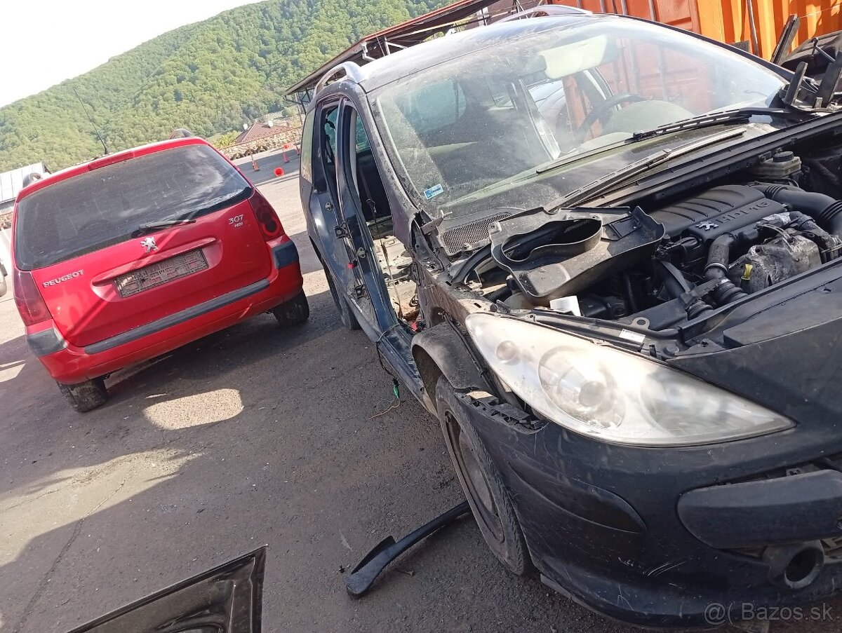 Peugeot 307 - 3