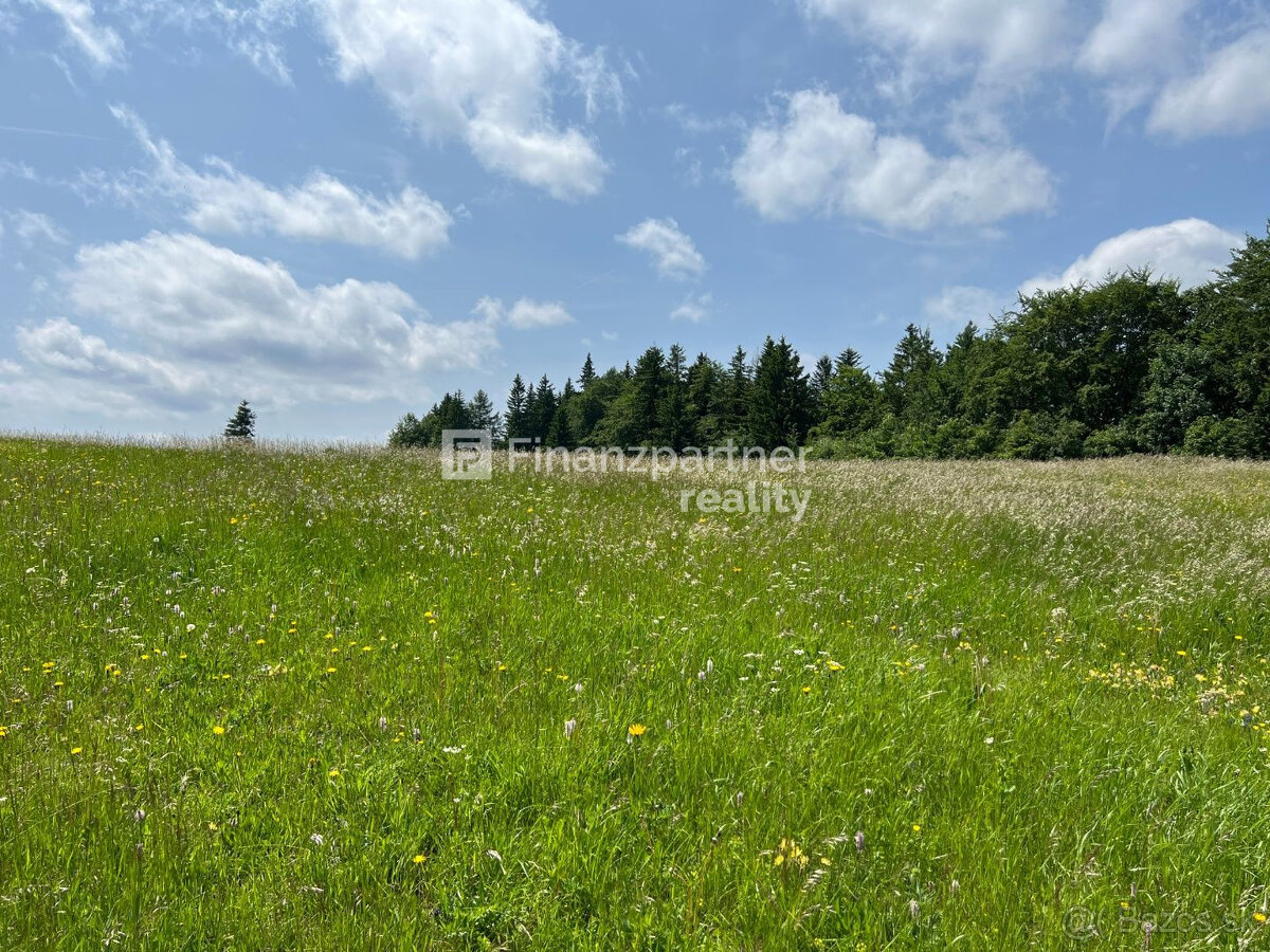 Investičný pozemok 3613 m2, Donovaly, Banská Bystrica - 3