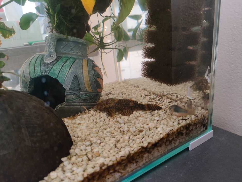 Akvárium - komplet aj s rybkami - 3