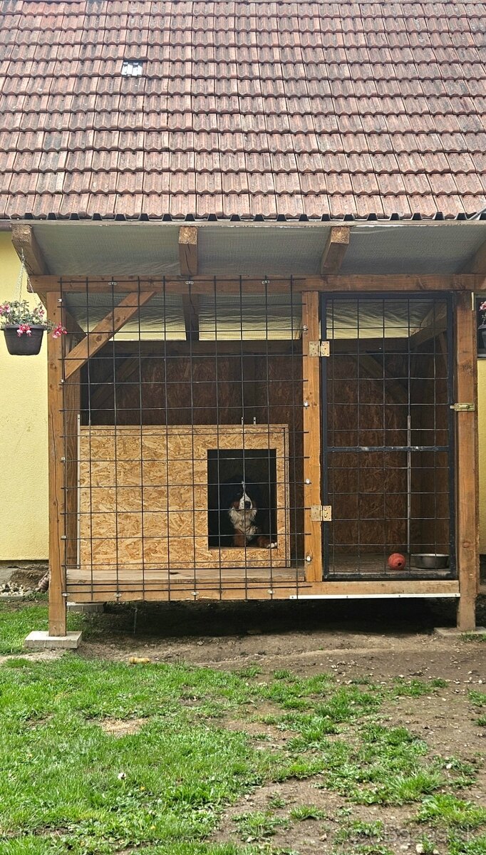 Predám koterec a búdu pre psa - 3