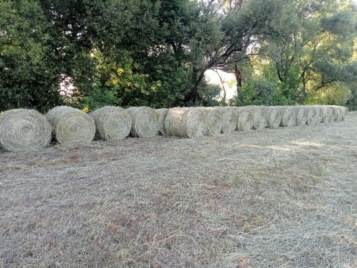Predám seno - 3
