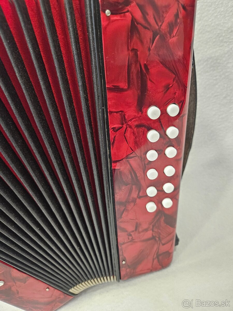 Harmonika heligonka weltmeister - 3