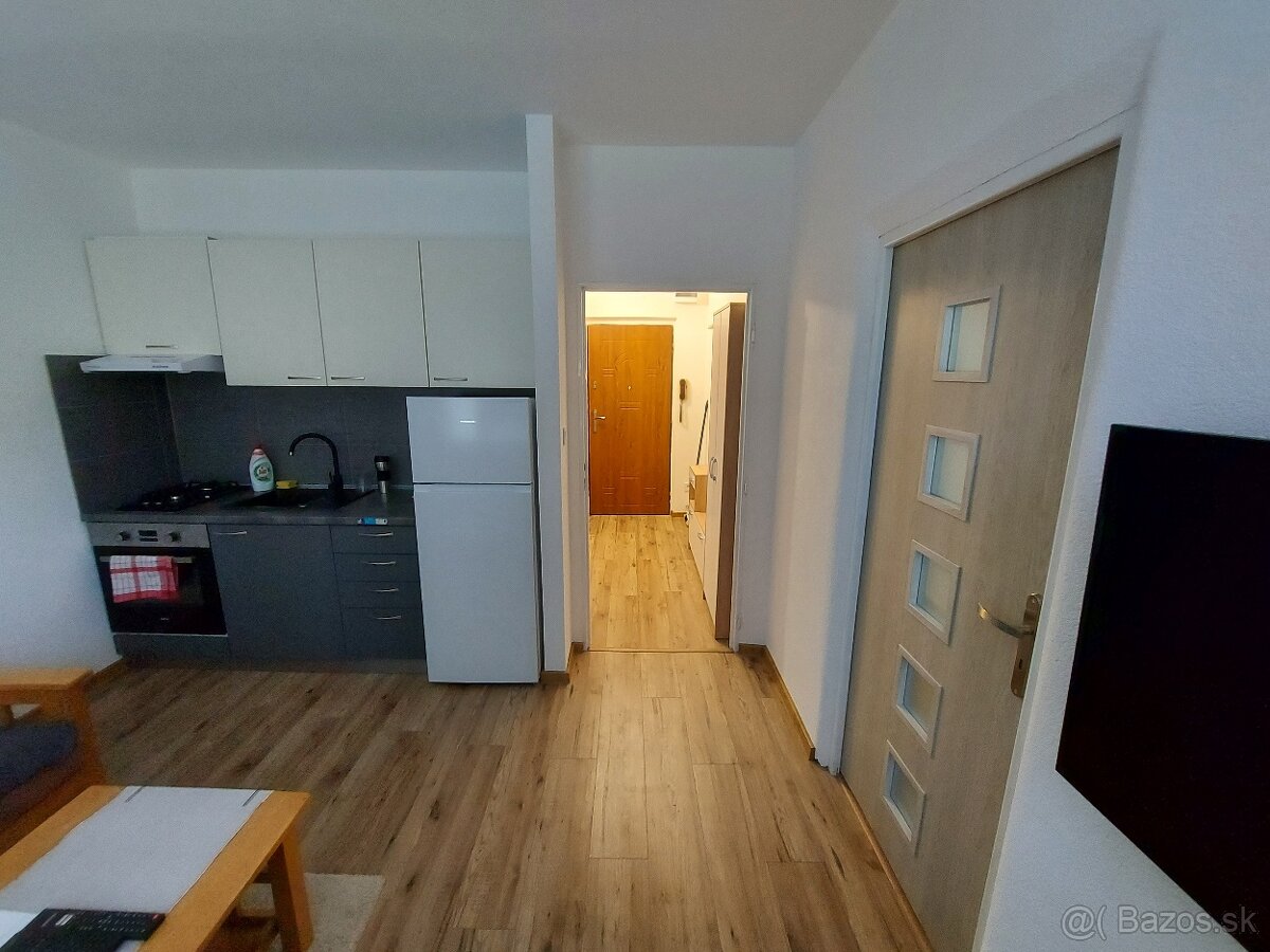 Prenájom 1.izbový byt - 3