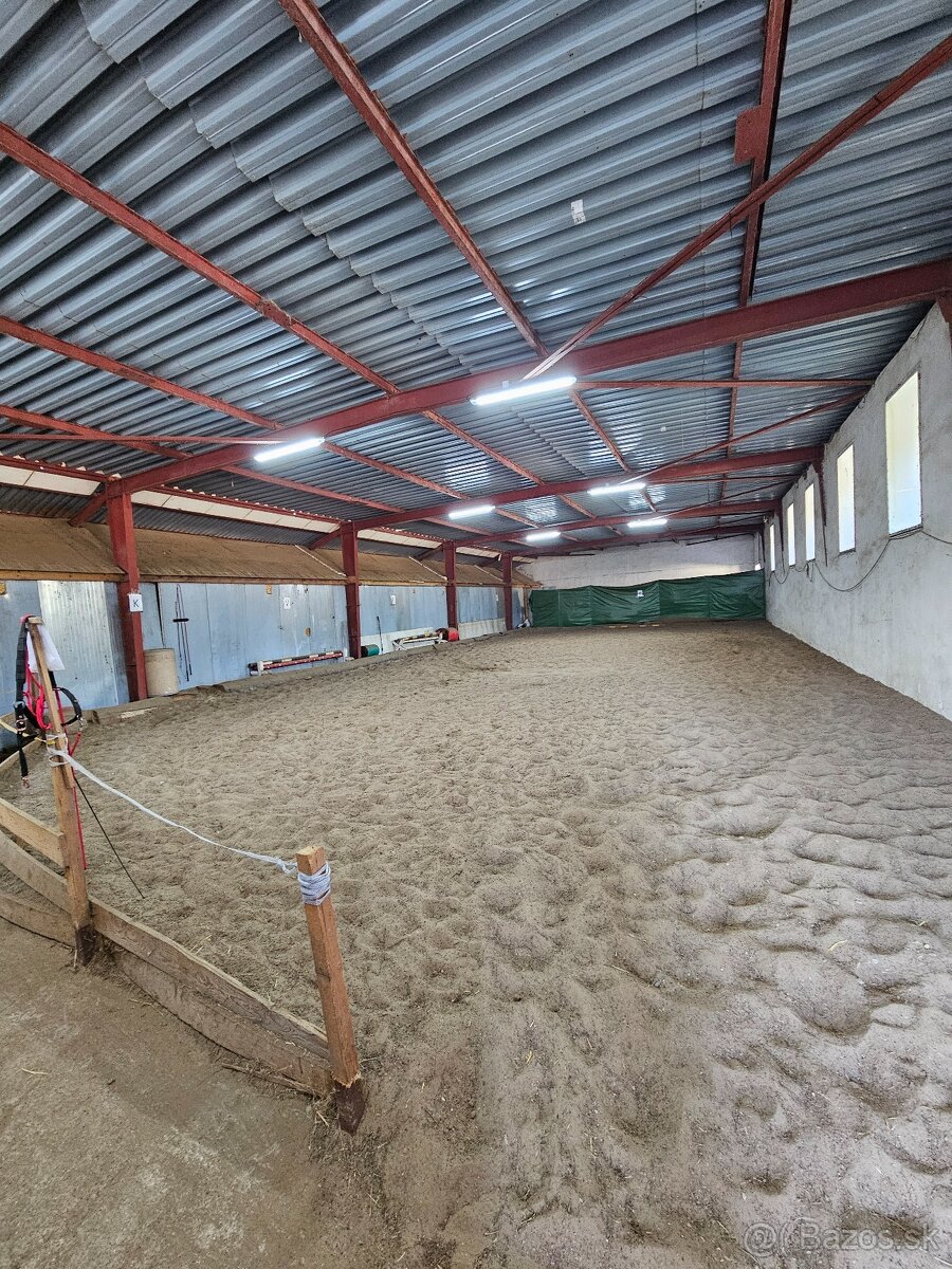 ustajnenie koni, vychadzky vodenie pre deti - 3