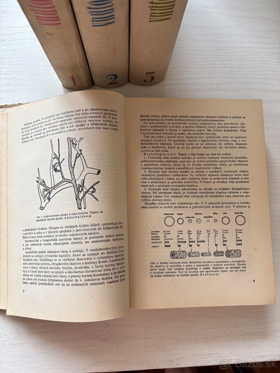 Vnutorne choroby - 3