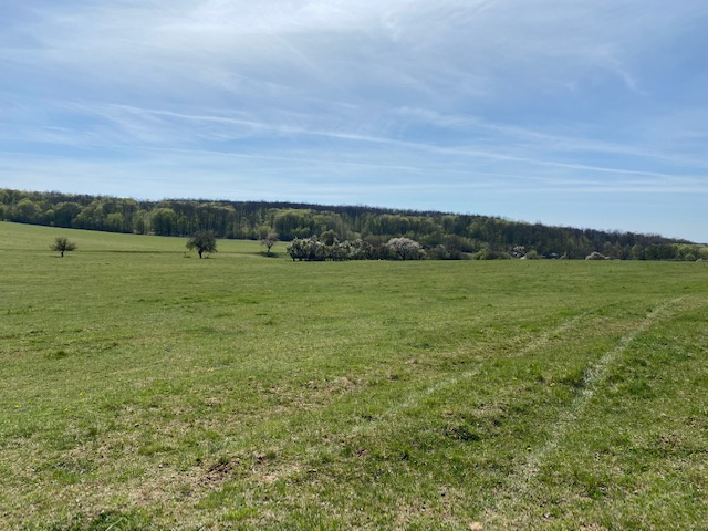 Pozemok v Čabradskom Vrbovku, 92000 m2 - 3