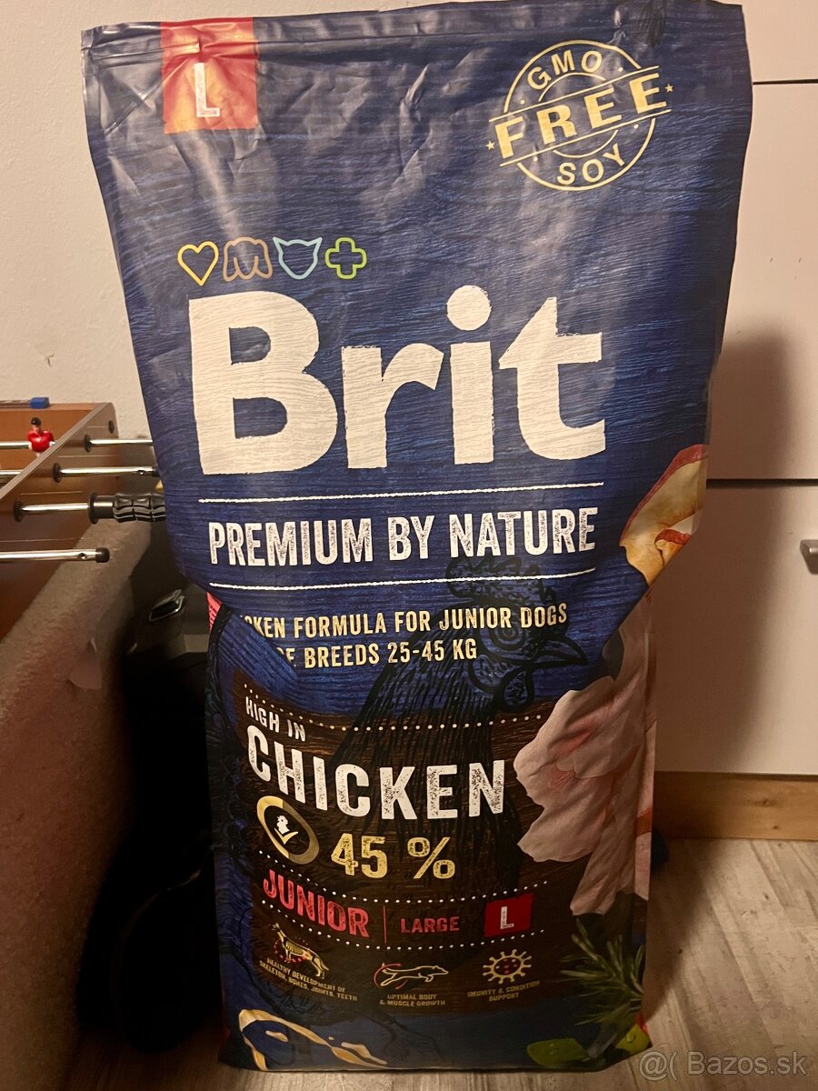 americký Stafford - 3