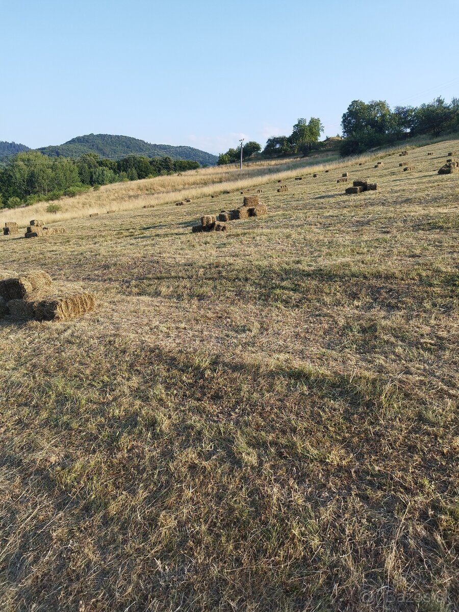 Predám malé balíky sena - 3