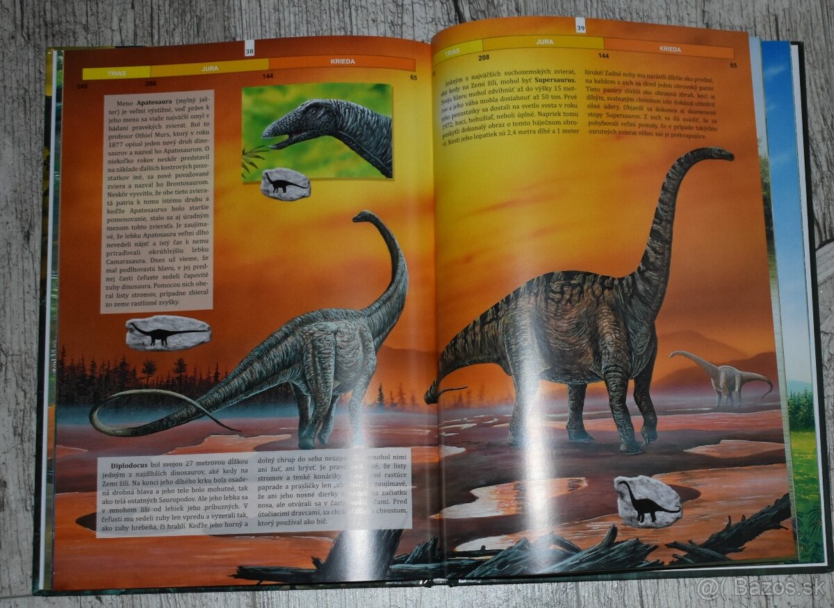 Dinosaury - 3