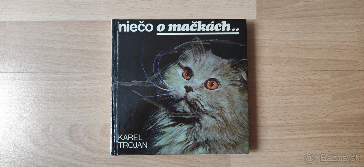 Pes, mačka - 3