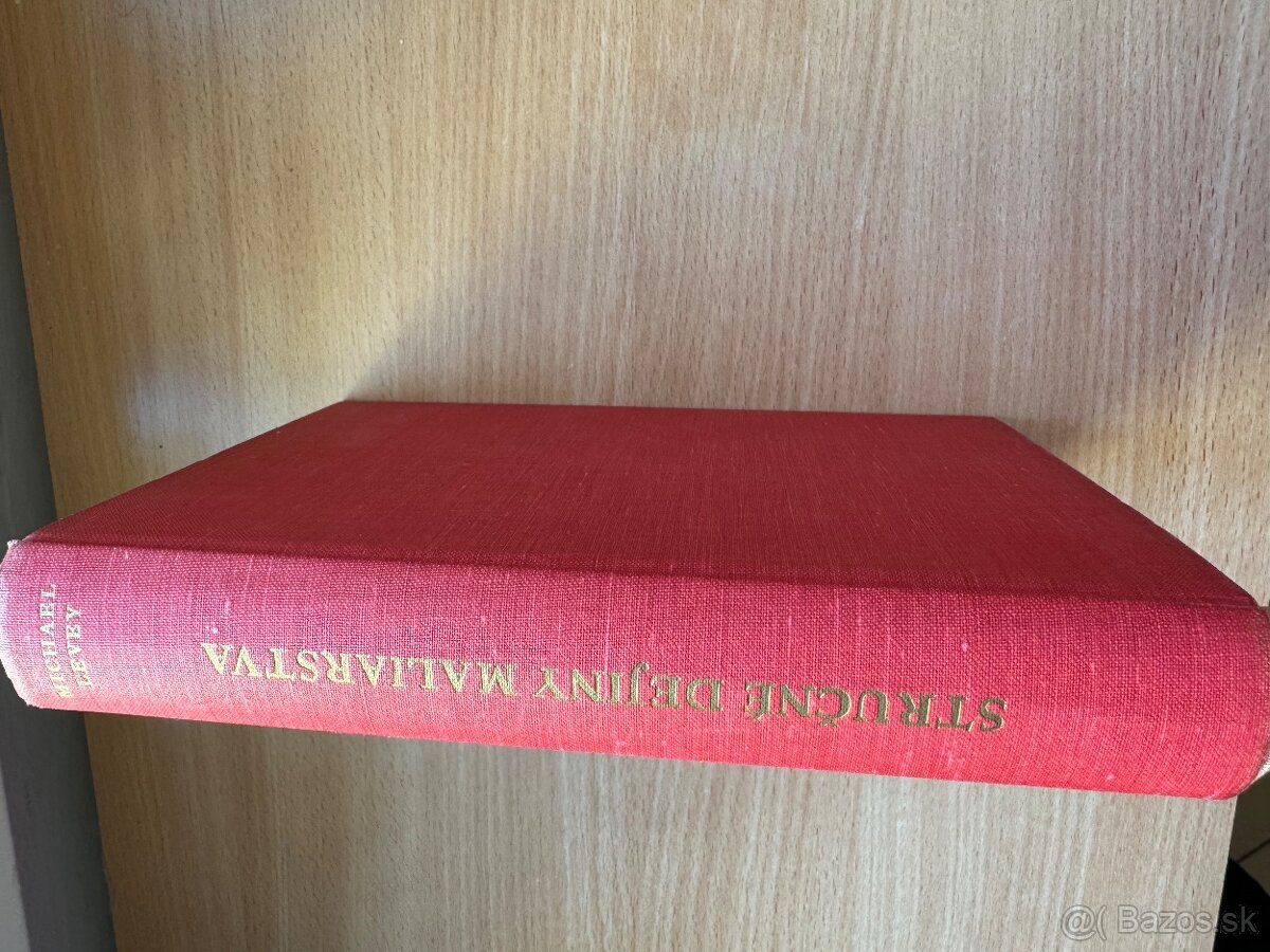 Michael Levey Stručné dejiny maliarstva - 3
