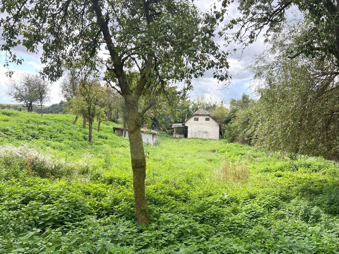 PREDAJ DOM s lesom 7714 m2 Bánovce nad Bebr. - 3