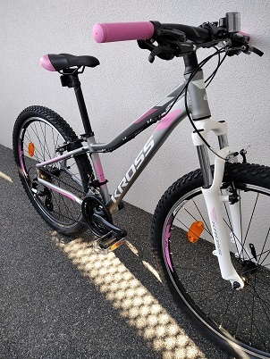 LEA 2.0 rám 15" so zárukou - 3