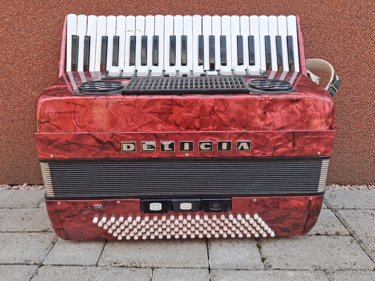 Akordeón harmonika 120 basov - 3