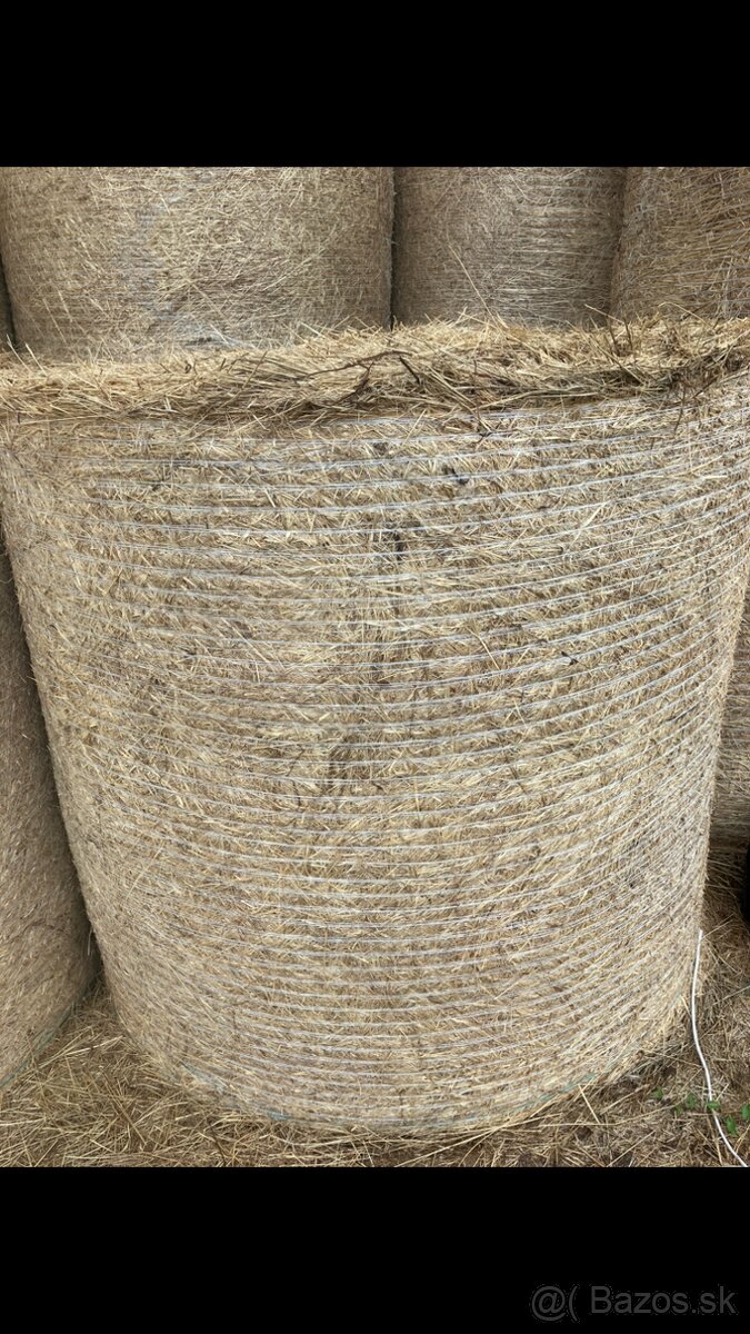 Senáž Seno - 3