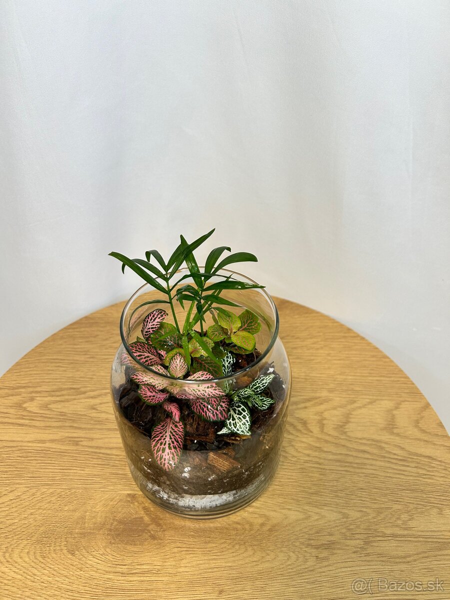 Rastlinné teráriá - 3