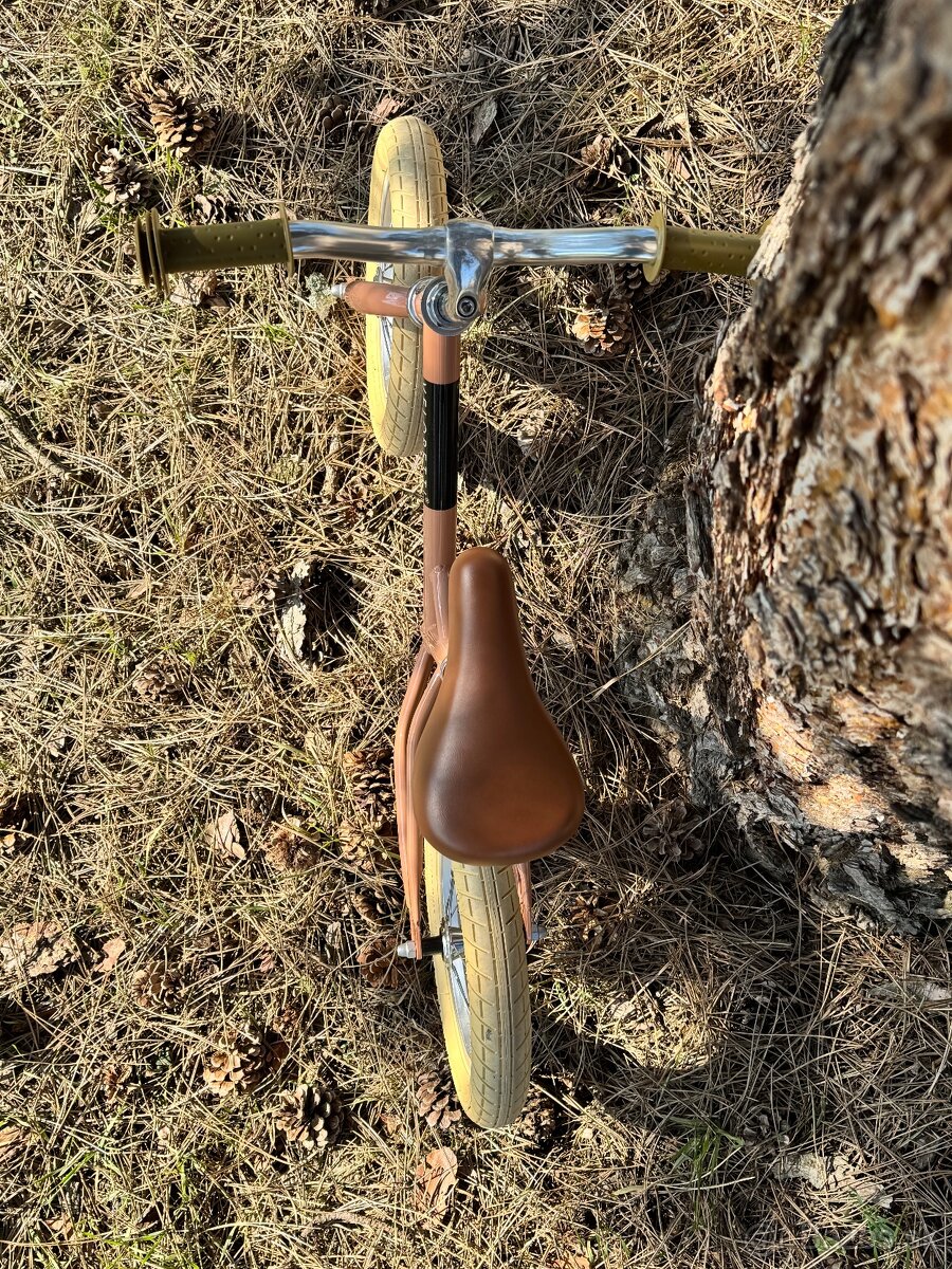 VELORETTI detské odrážadlo - 3