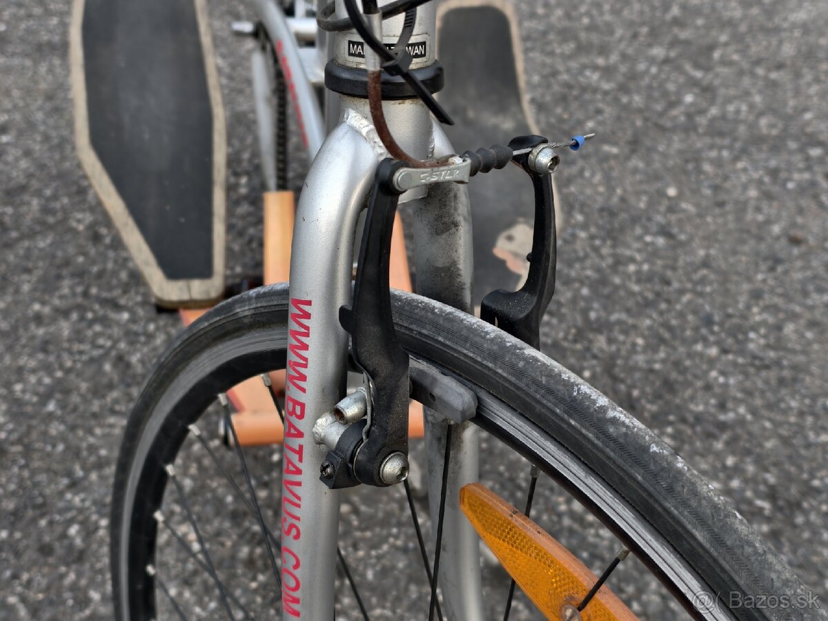 Bicykel stepper Batavus - 3