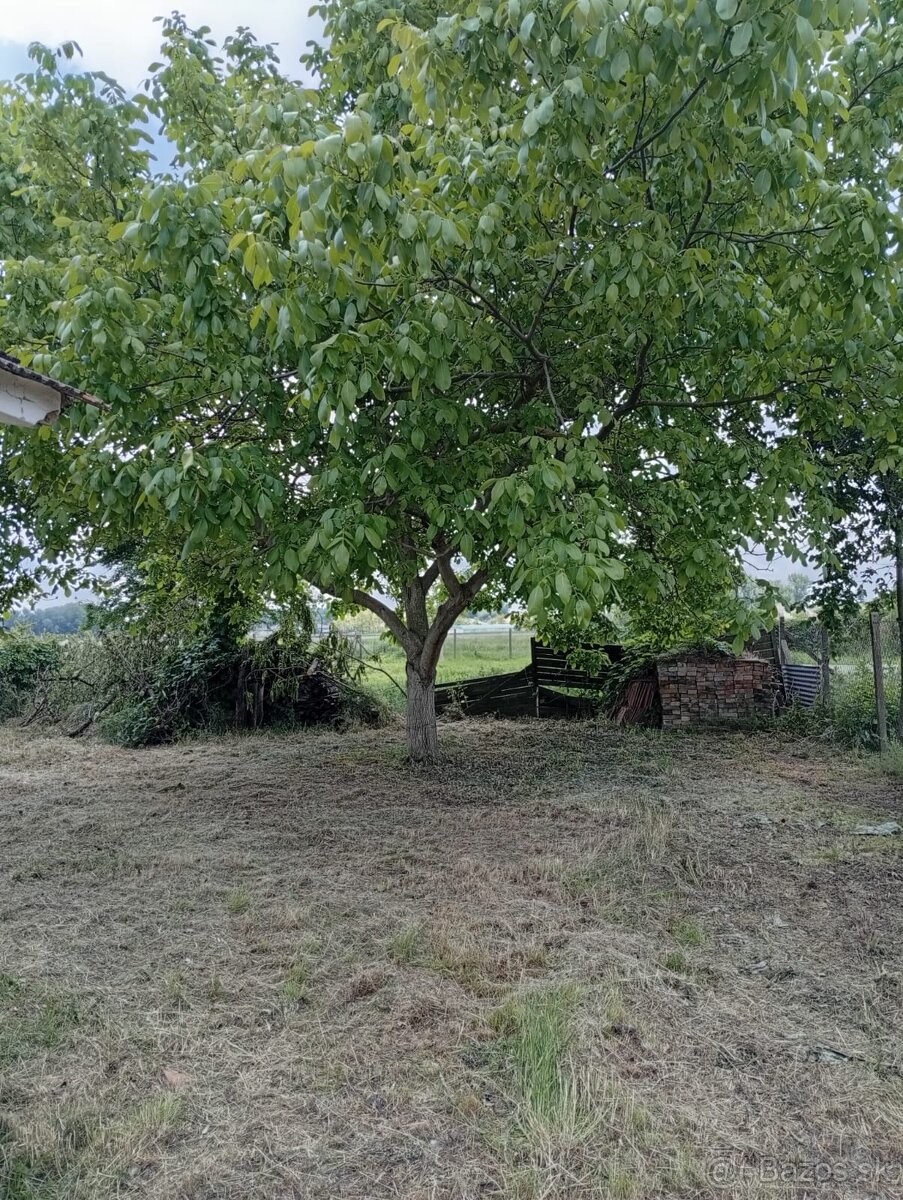 Predám vidiecky domček v pôvodnom stave - 3