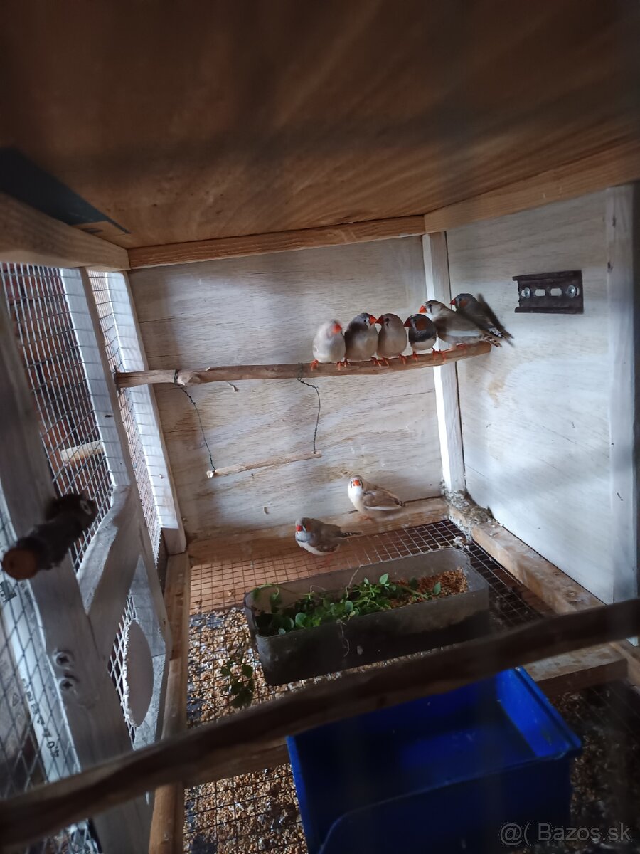 Predám zebričky - 3