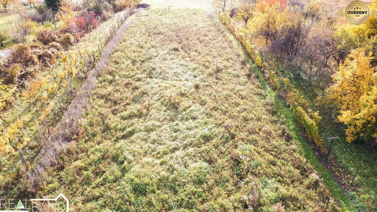 PREDAJ - RODINNÝ DOM S GARÁŽOU AJ VINOHRADOM 771 m² - 3