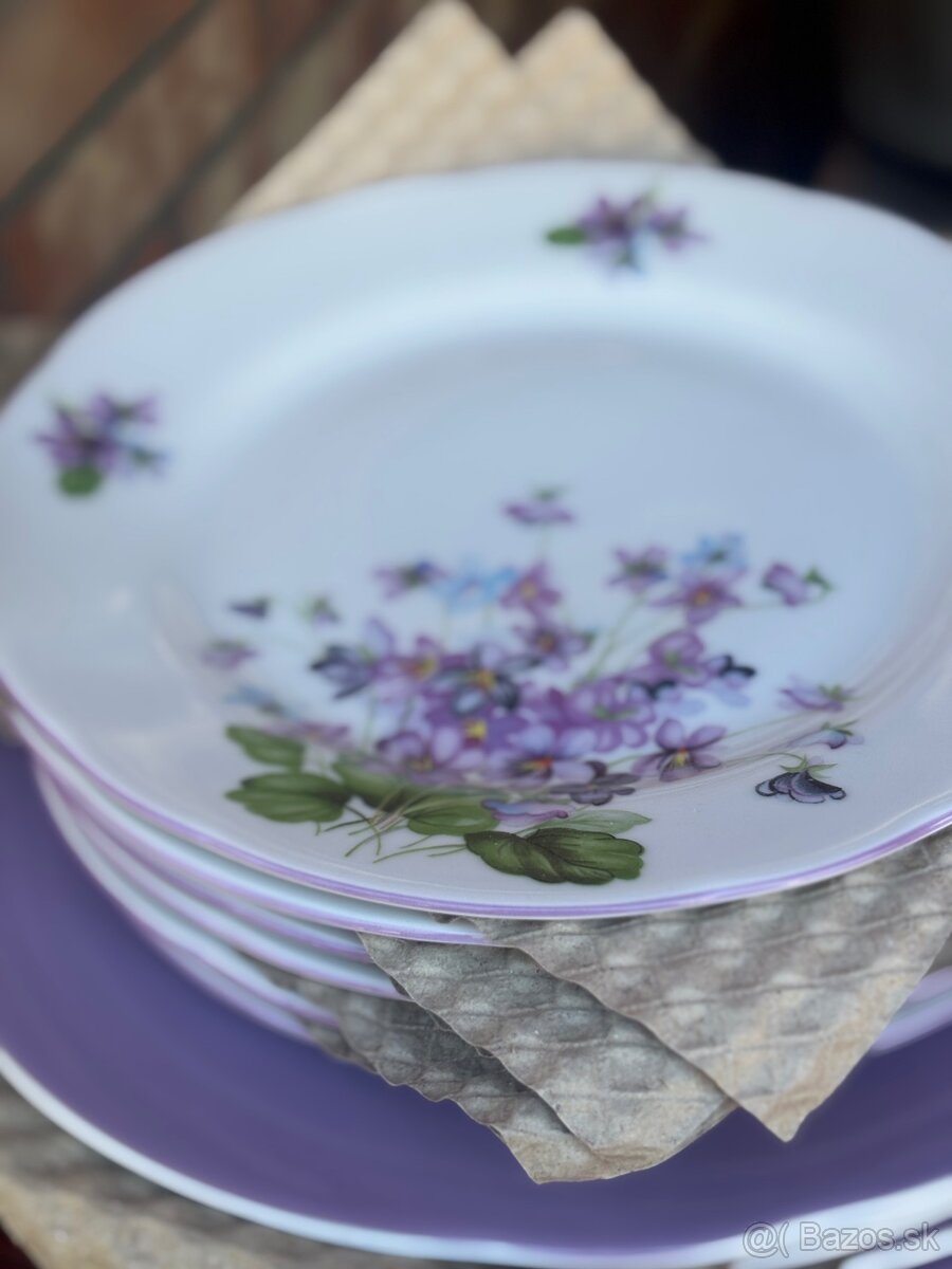 Tanierova sada fialky - 3