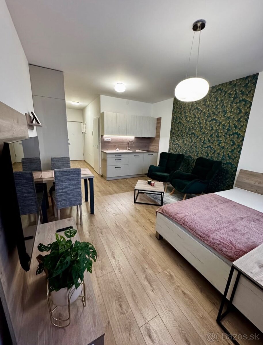 Krasna garzonka na prenajom - 3