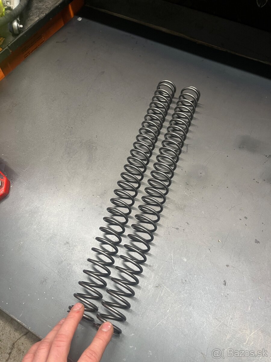 Struny predok zadok conevalve - 3