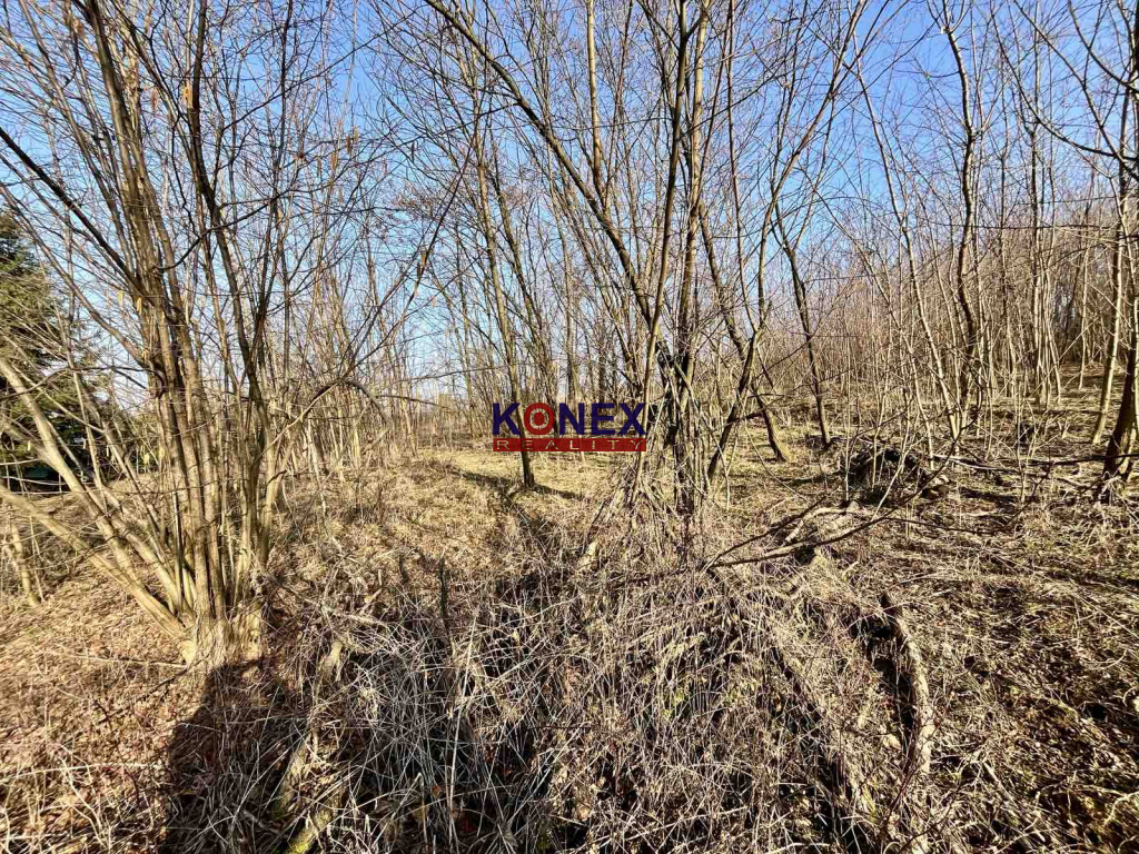 Rozľahlý pozemok (4846 m²) v intraviláne VRANOVA N/TOPĽOU - 3