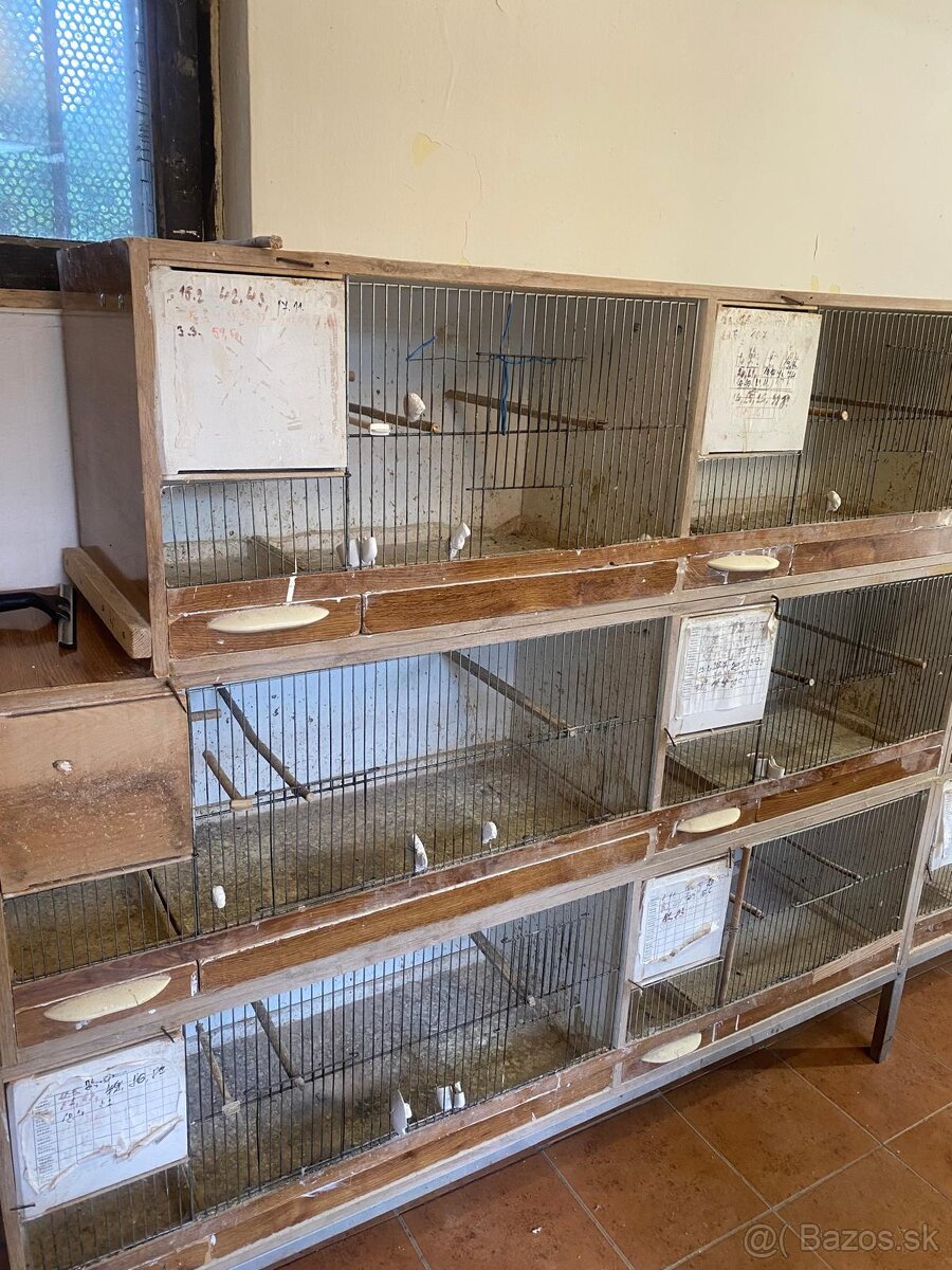 Andulky ,drobotina ,chovne boxy - 3