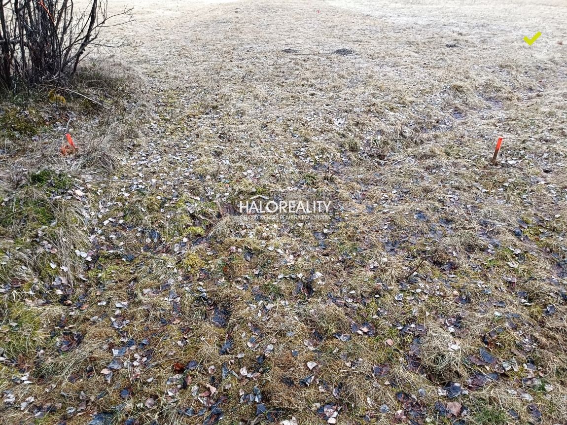 HALO reality - Predaj, rekreačný pozemok Nálepkovo, Zahájnic - 3