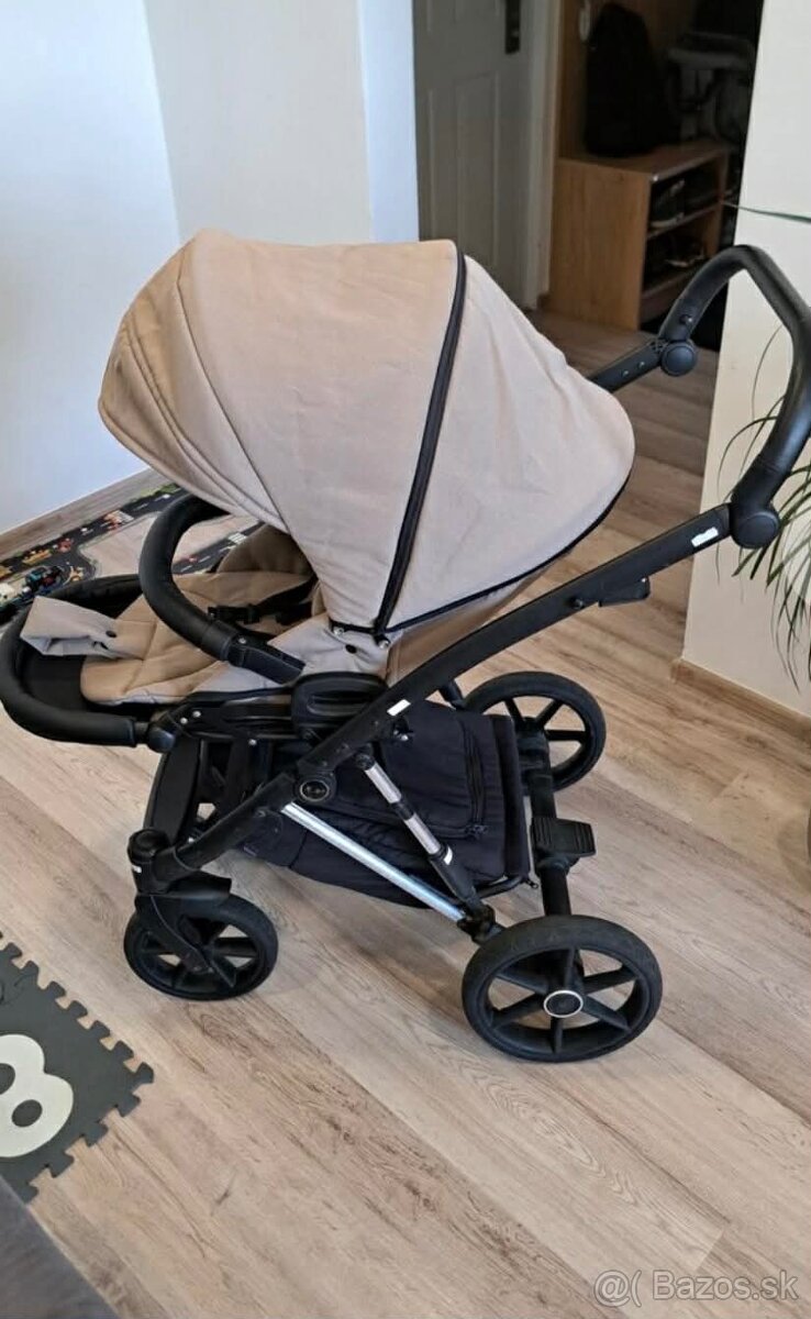 Kočik Royal Jewel - 3