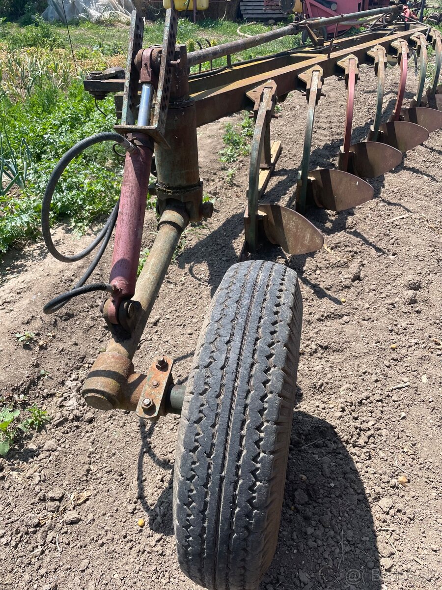 Pluh 7-radličný - 3