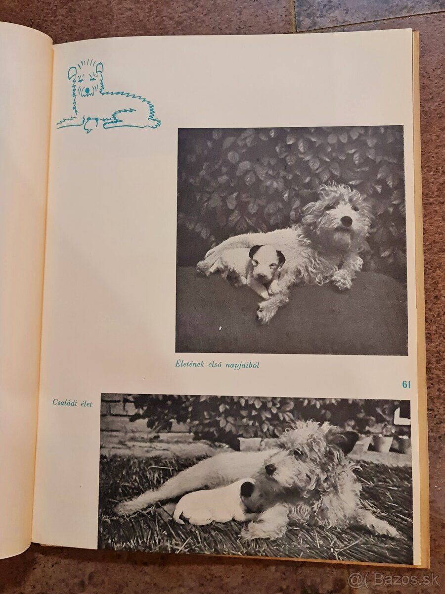 Karel Čapek - Dášenka - 3