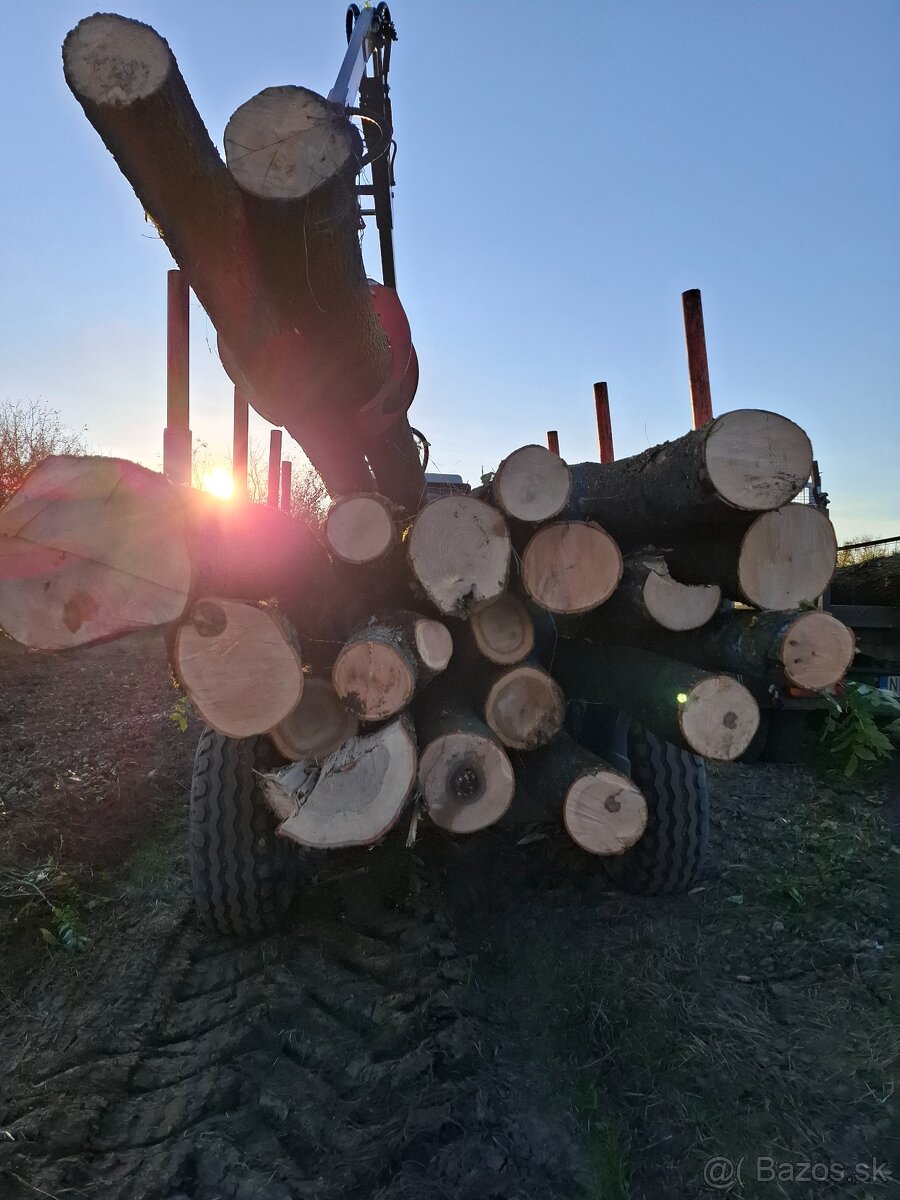 Palivove drevo - 3