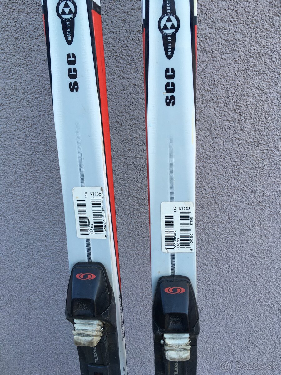 Bezky Fischer SCC - 3