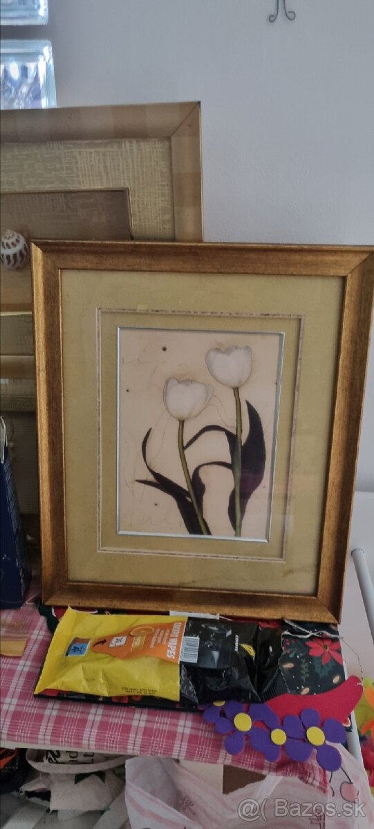 Obrazy - mušle, kvety - 3