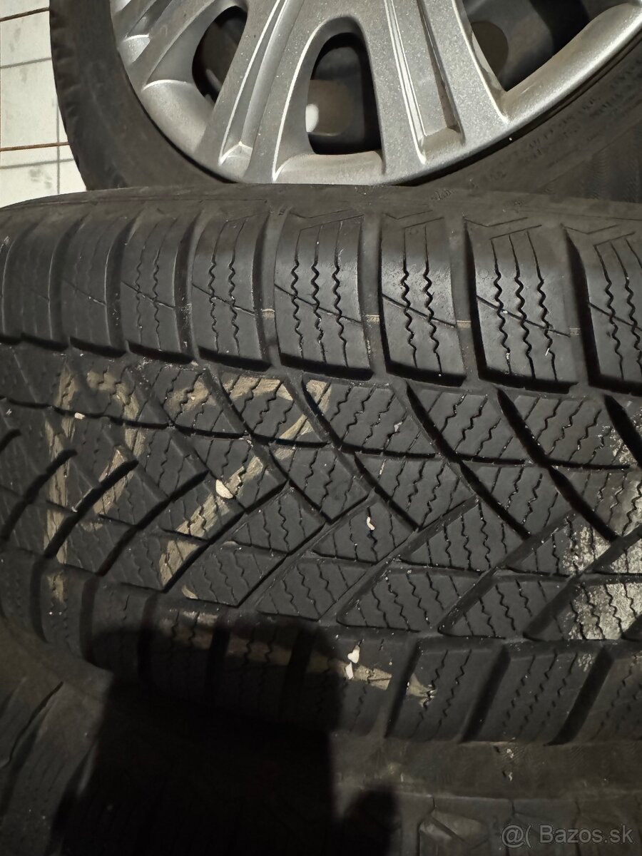 zimna sada skoda rapid - 3