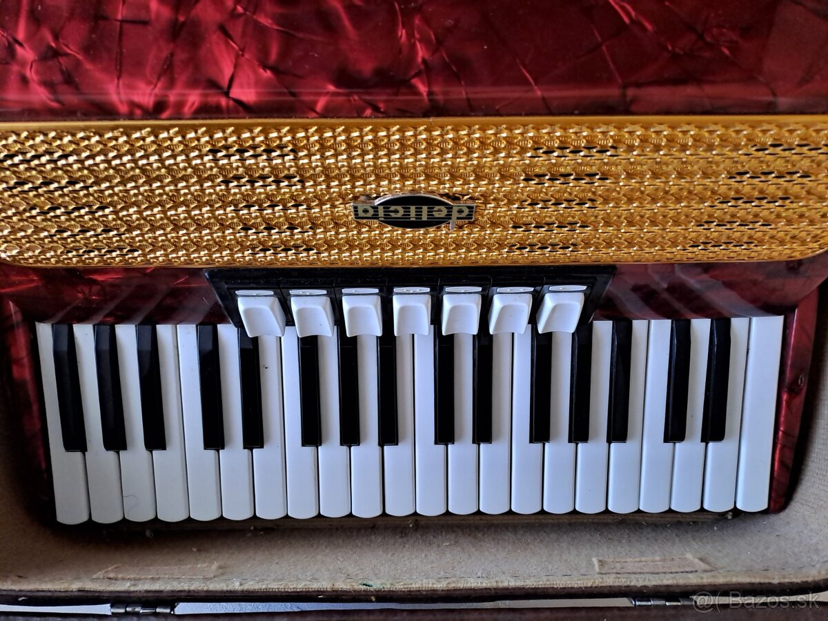 Akordeón Delicia Carmen 2 - 3