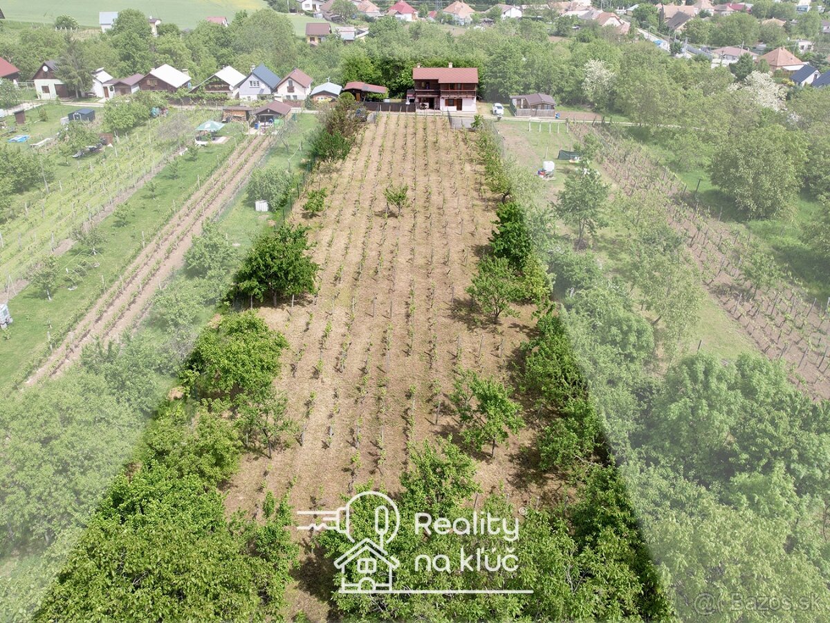 Na predaj krásna zariadená chata s vinohradom - Trávnica - 3