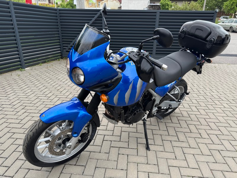 Triumph Tiger 955i - 3