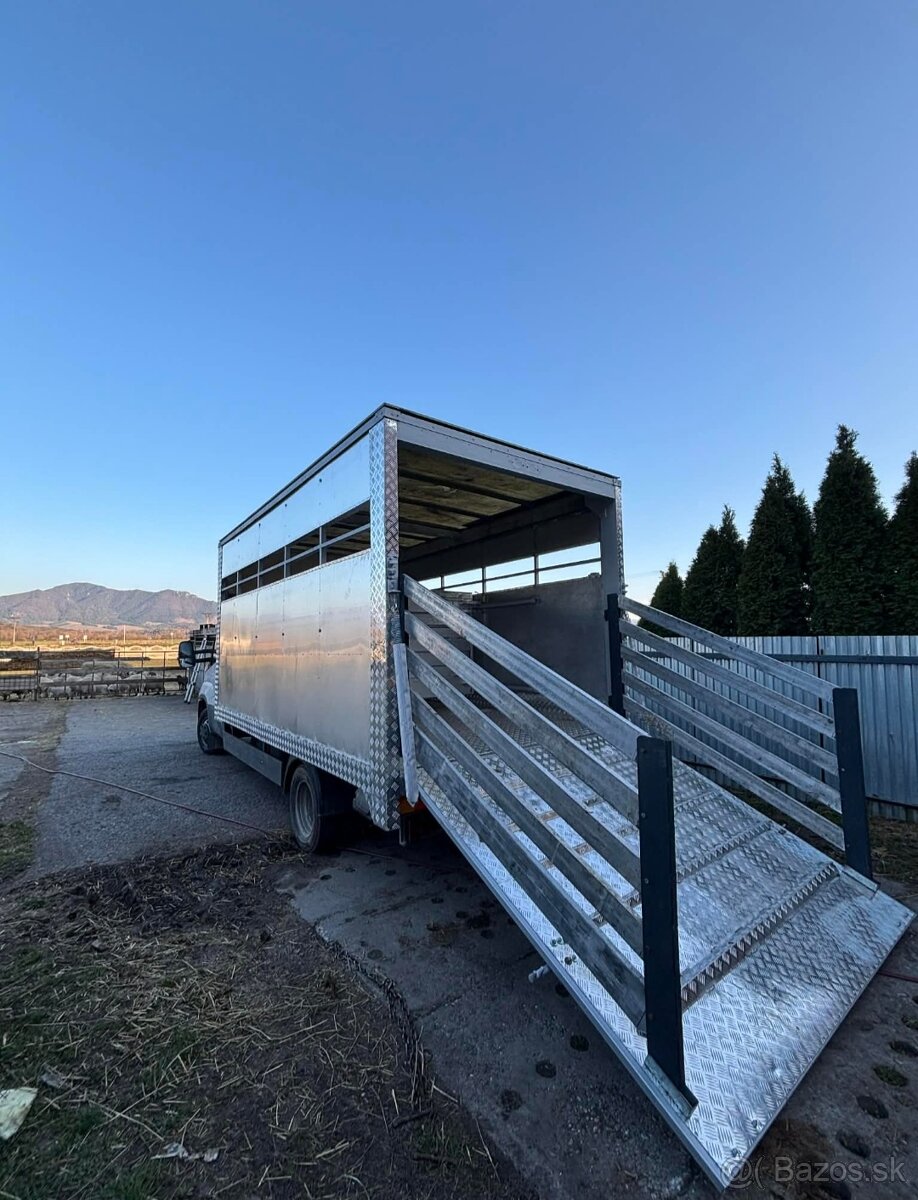 Iveco na prepravu zvierat - 3