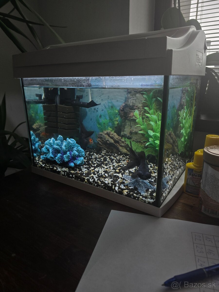 Akvárium s rybkami a príslušenstvom - 3