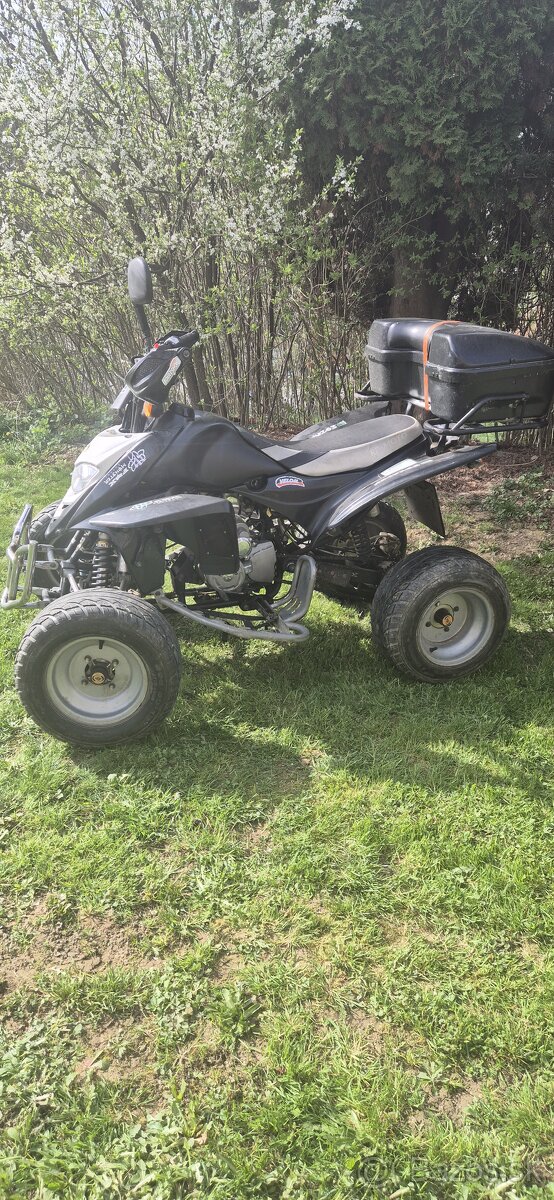 260ccm