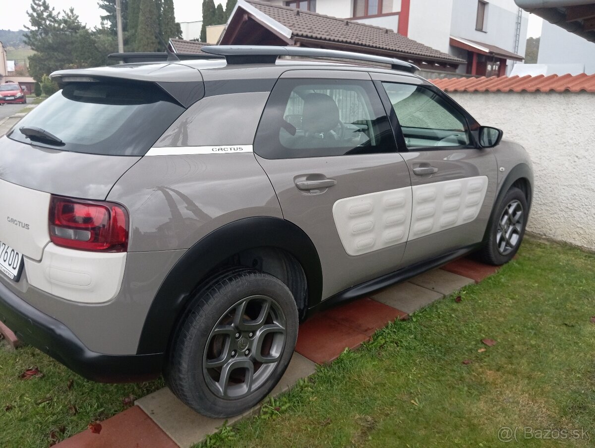 C4 Cactus - 3