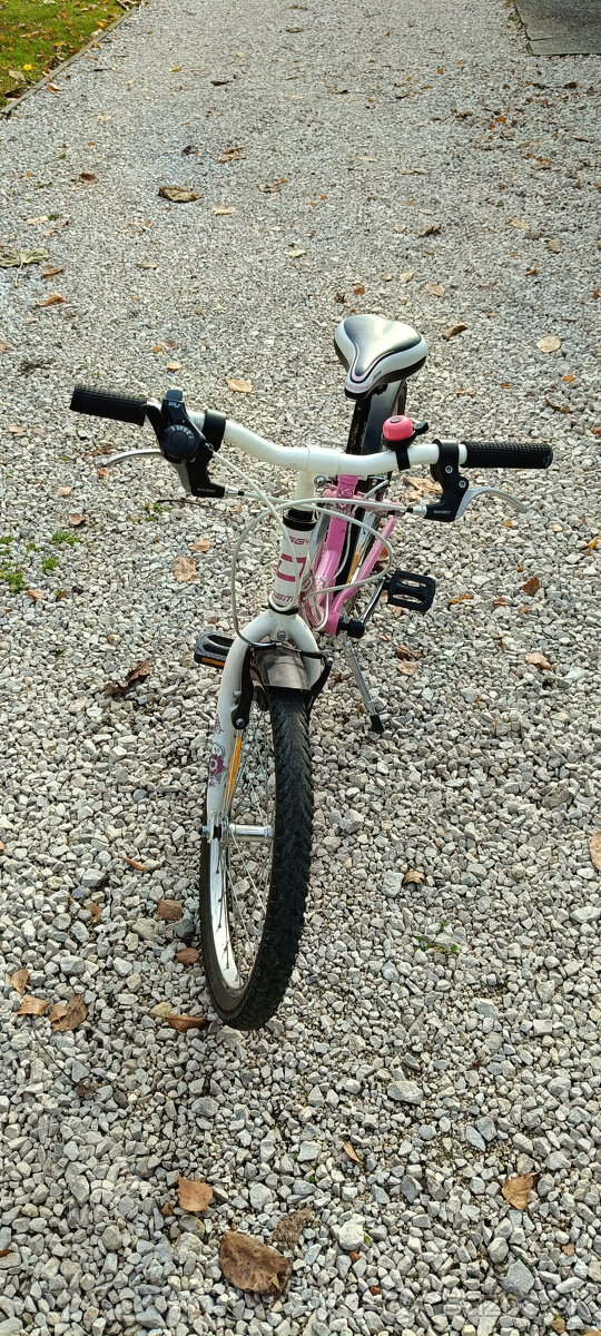 Detský bicykel Dema aggy 20 - 3