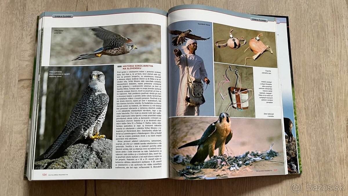 Kniha Encyklopedia Polovnictva - 3
