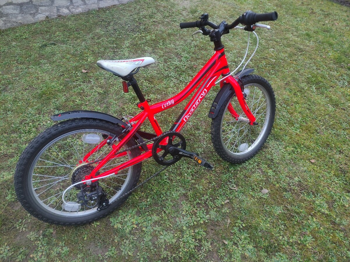 Detský bicykel Harry Corky 20" - 3