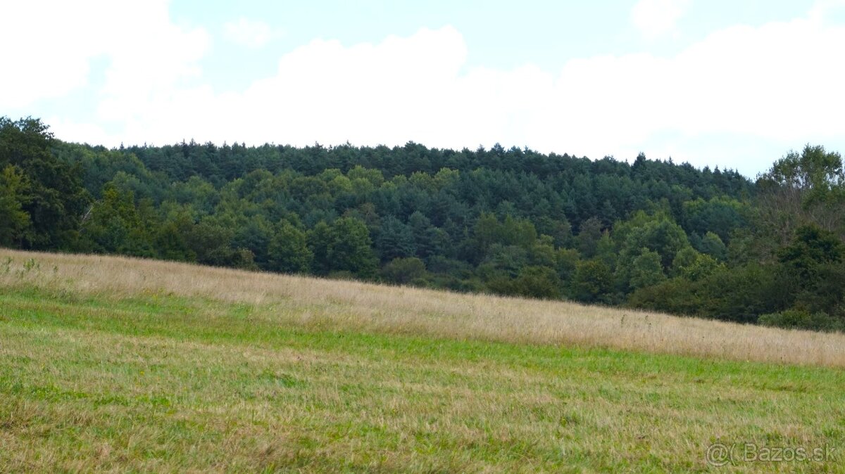 Rekreačný pozemok Papradno - 3