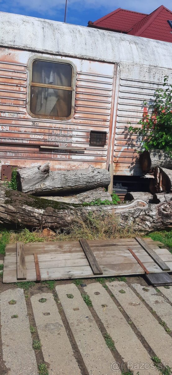 kmene orechové dreva - 3